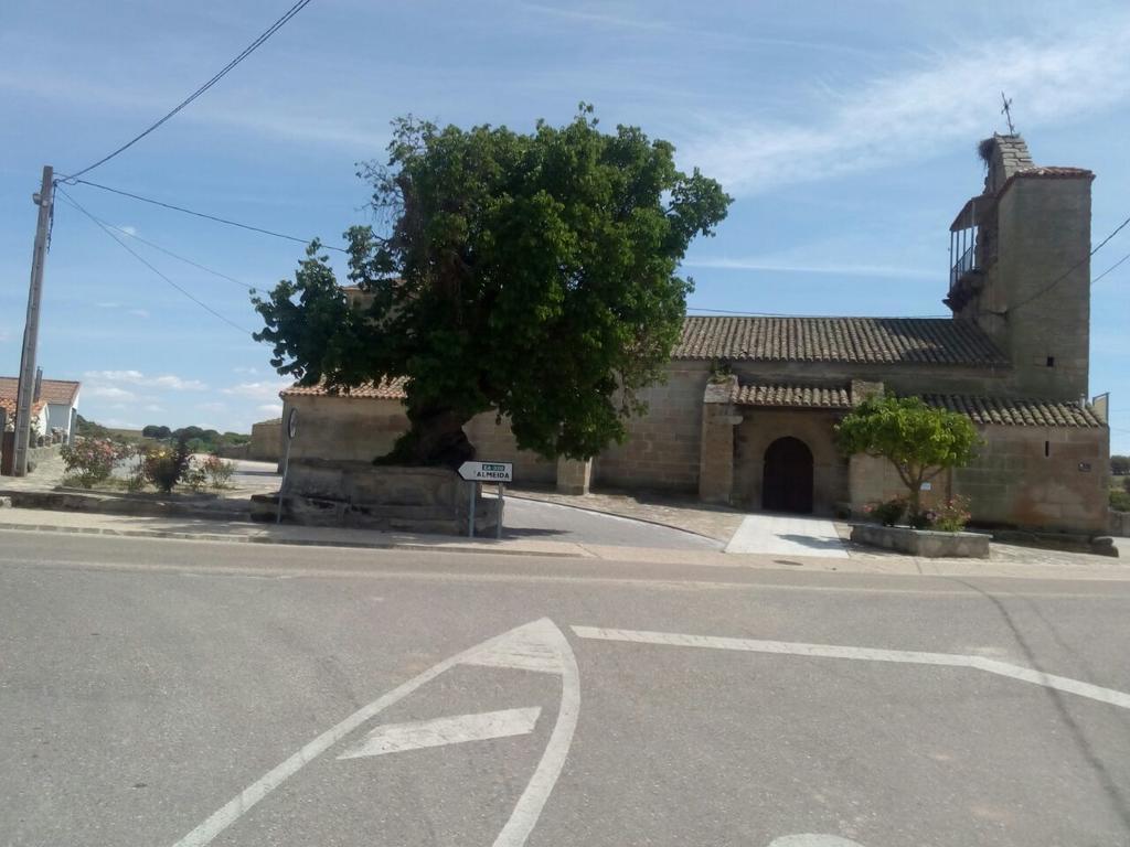 Pension El Abuelo Carbellino Esterno foto