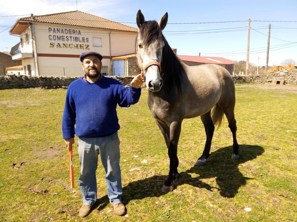 Pension El Abuelo Carbellino Esterno foto